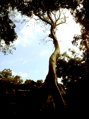 Dsc04039_1