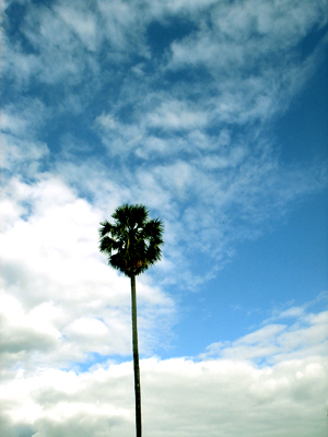 Dsc04087